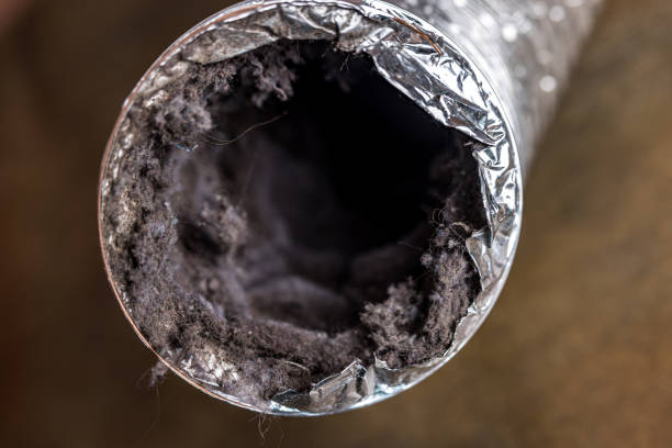 Best Air Duct Cleaning Near Me  in Seaside Park, NJ